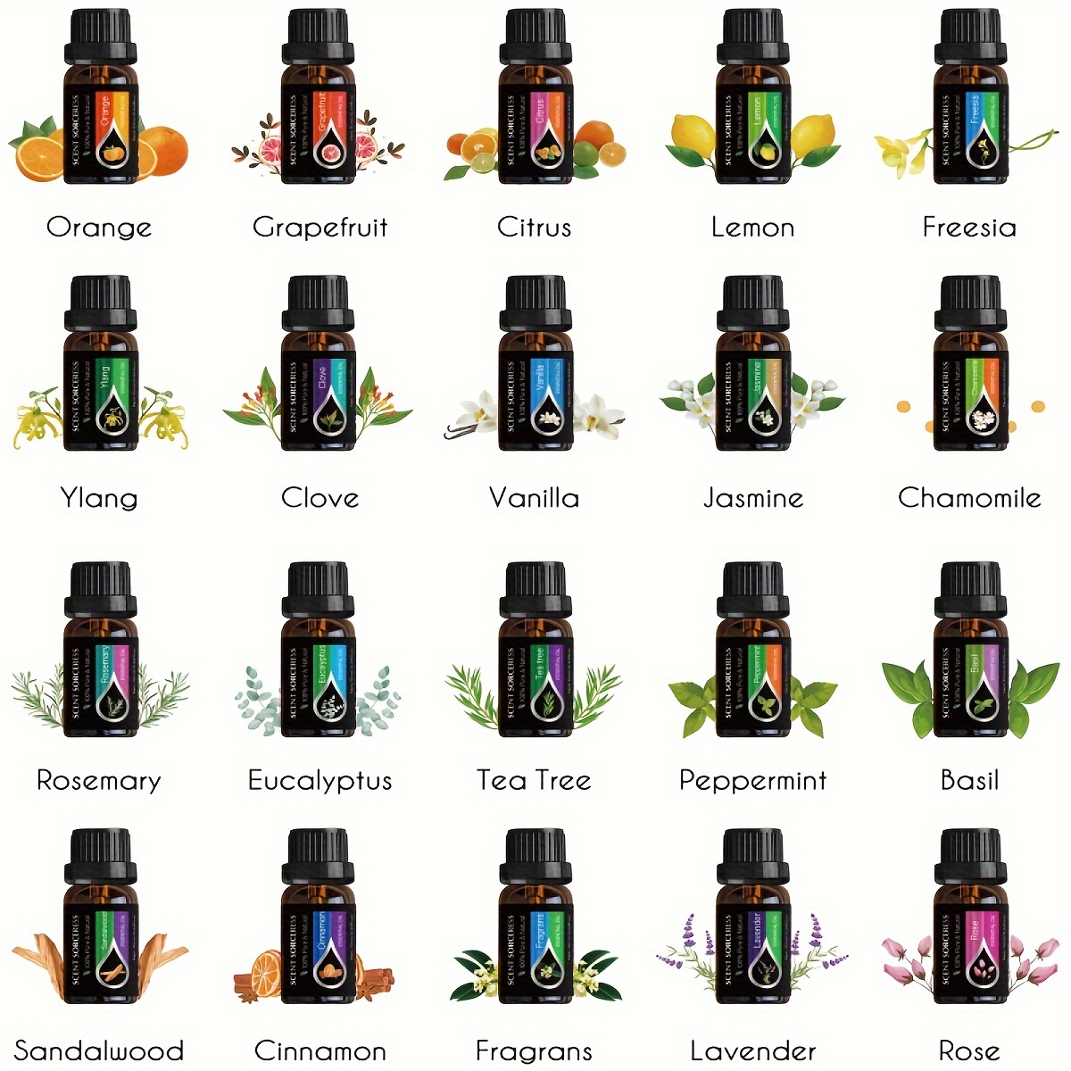 20pcs/set Essential Oil Set La - Perfume Fragrance Oil ulasan dan harga